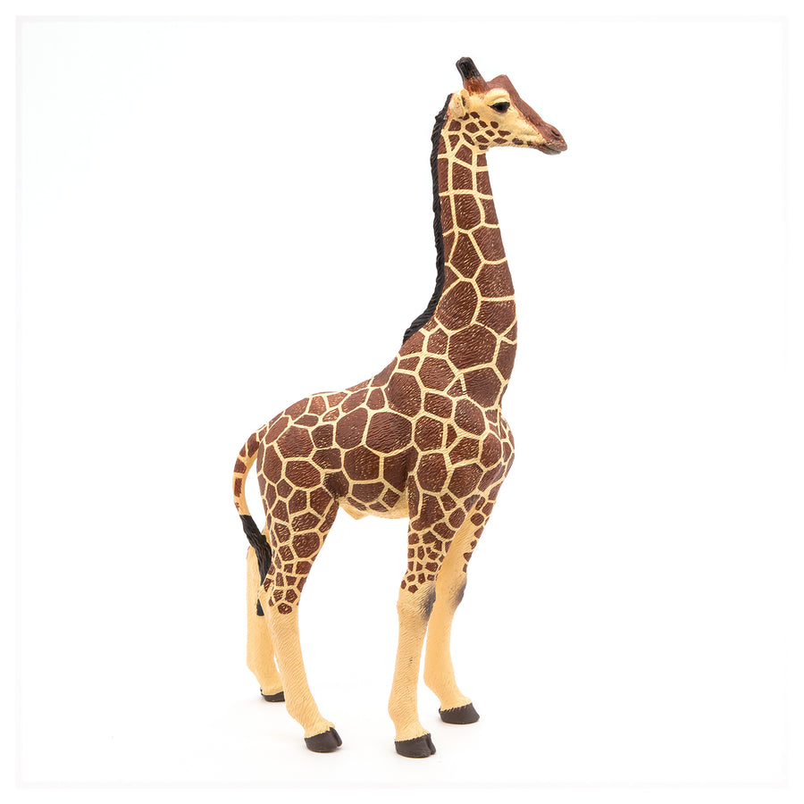 Figurine Girafe mâle Papo en PVC, thème savane, Collection Animaux sauvages, jouet éducatif idéal pour enfants et collectionneurs
