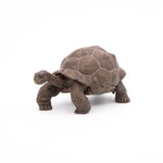 Figurine Tortue des Galápagos Papo en PVC, thème reptiles, Collection Animaux sauvages, jouet éducatif idéal pour enfants et collectionneurs