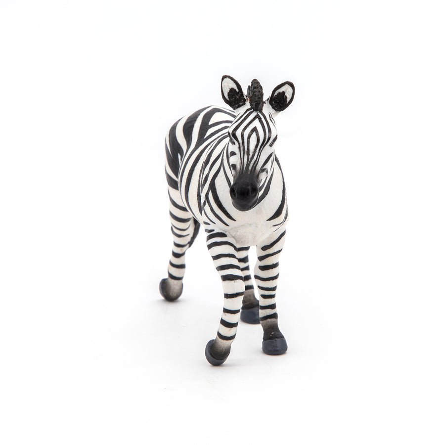 Figurine Zèbre mâle Papo en PVC, thème savane, Collection Animaux sauvages, jouet éducatif idéal pour enfants et collectionneurs
