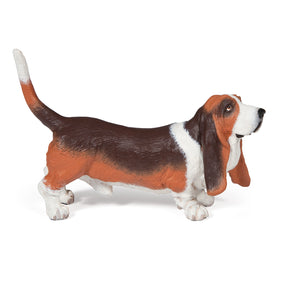 Figurine Basset hound Papo en PVC, Collection chiens et chats, jouet éducatif idéal pour enfants et collectionneurs