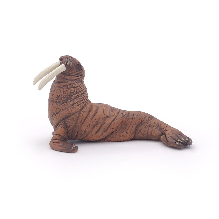 Figurine Morse Papo en PVC, Collection animaux marins, jouet éducatif idéal pour enfants et collectionneurs
