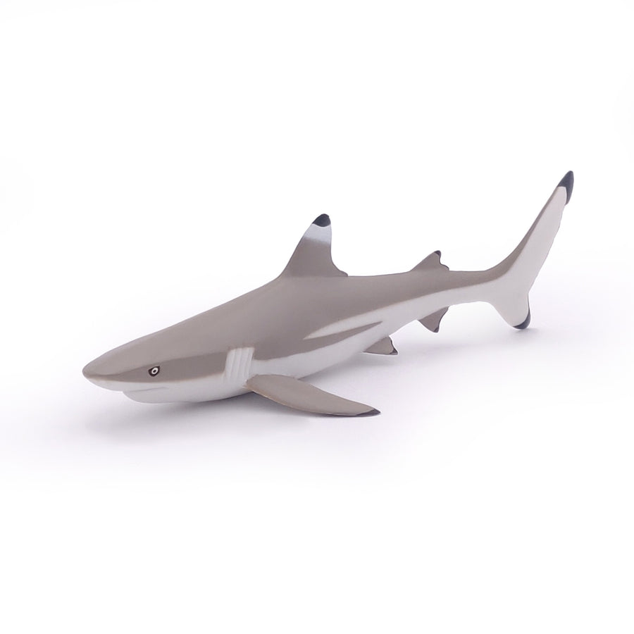 Figurine Requin à pointes noires Papo en PVC, Collection animaux marins, jouet éducatif idéal pour enfants et collectionneurs
