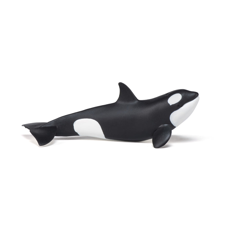 Figurine Bébé orque Papo en PVC, Collection animaux marins, jouet éducatif idéal pour enfants et collectionneurs