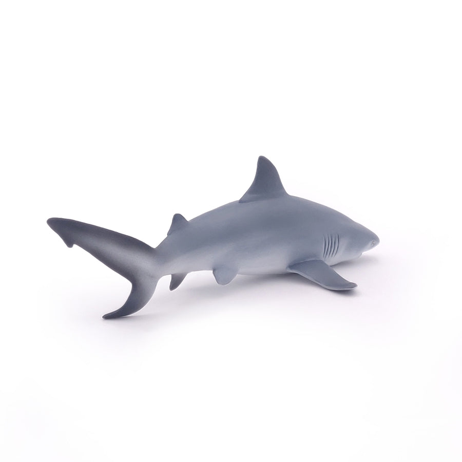 Figurine Requin bouledogue Papo en PVC, Collection animaux marins, jouet éducatif idéal pour enfants et collectionneurs