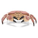 Crabe Papo en PVC, Collection animaux marins, jouet éducatif idéal pour enfants et collectionneurs